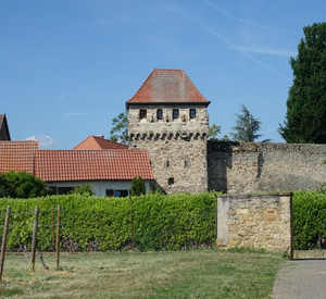 Freinsheim, Stadtmauer © M. Wenzel, GDKE, Landesdenkmalpflege ©