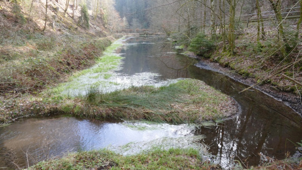 Elmstein (Kr. Bad Dürkheim), Alte Schmelzklause, Bachverlauf, Großer Legelbach, umgebaut 1857 als Klause im Nebenschluss © GDKE, Landesdenkmalpflege (Bildautor: Kultur-Büro AHB, Ginsheim-Gustavsburg)