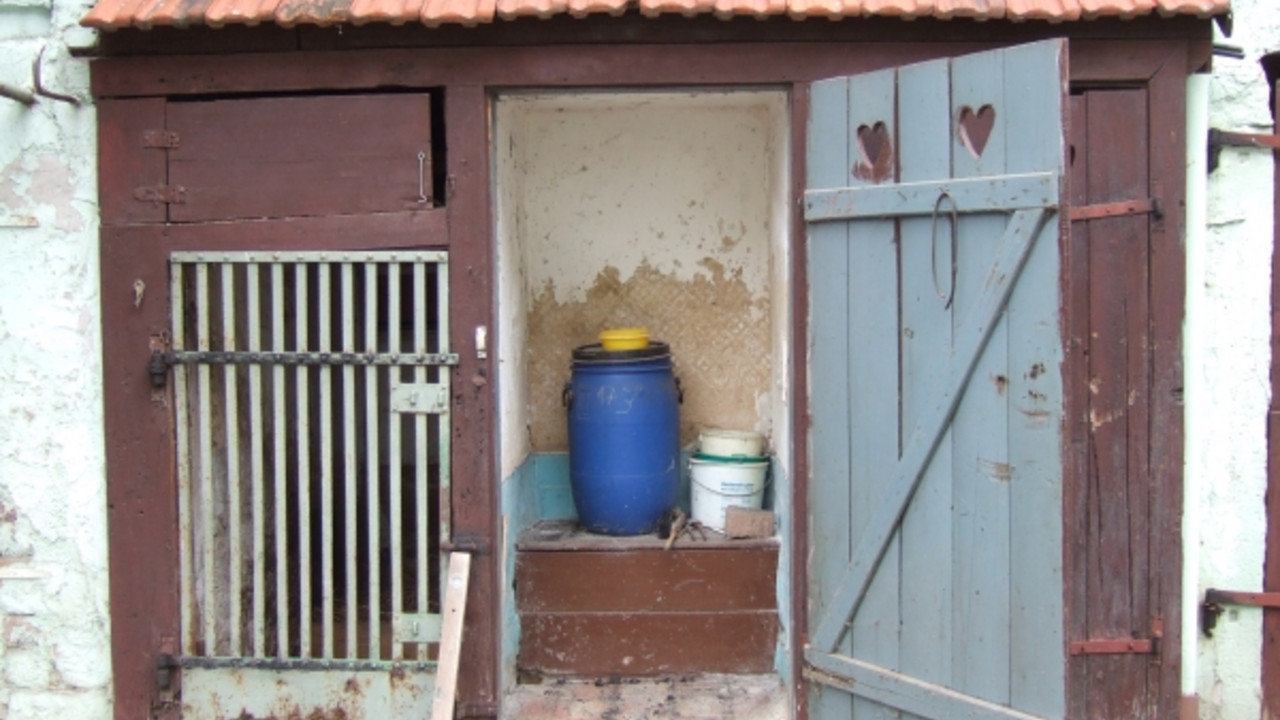 Plumpsklo auf einer Hofanlage in Kirchheimbolanden © Maria Wenzel, GDKE, Landesdenkmalpflege Plumpsklo auf einer Hofanlage in Kirchheimbolanden © Maria Wenzel, GDKE, Landesdenkmalpflege