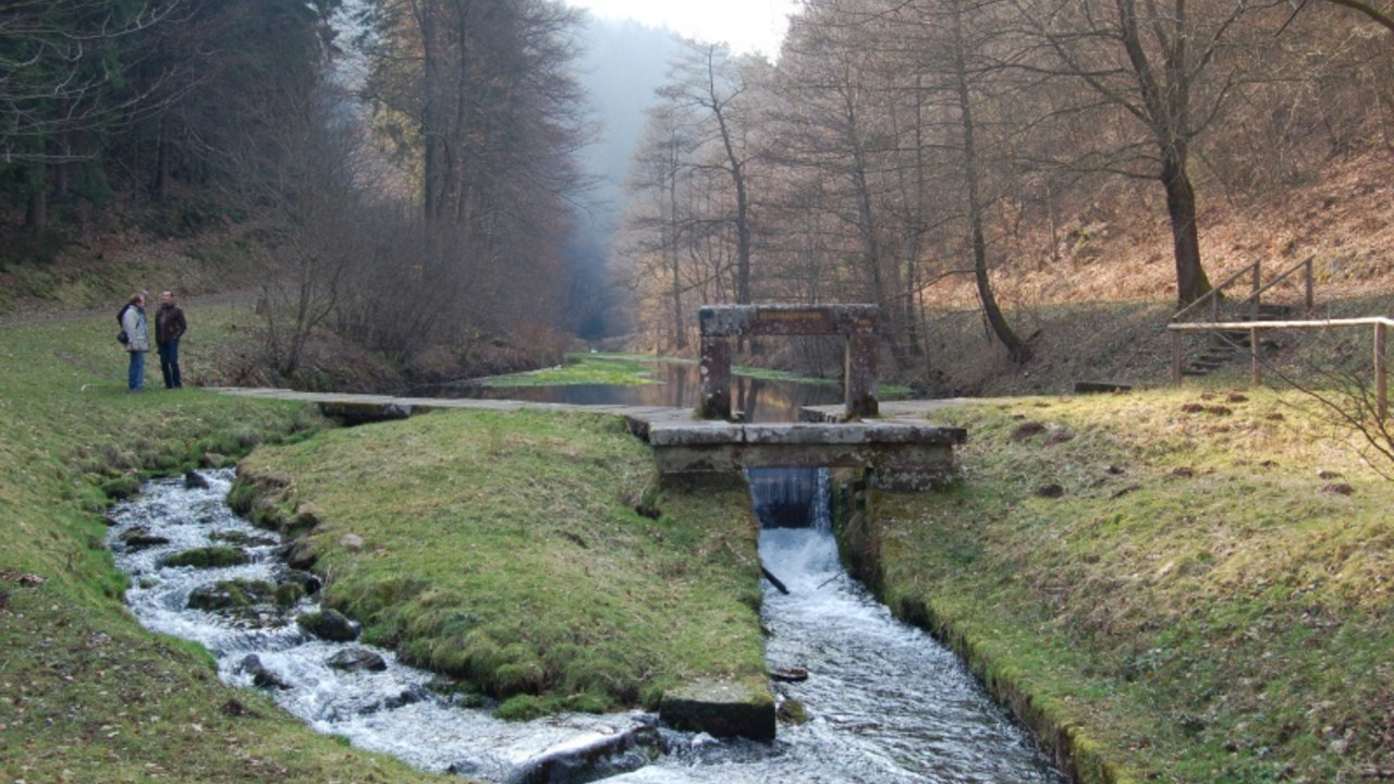 Frankenstein (Kr. Kaiserslautern), Biedenbacherwoog am Leinbach mit steinernem Wehr und Umleitungskanal © GDKE, Landesdenkmalpflege, G. P. Karn