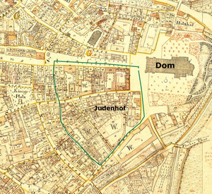 Ausschnitt aus dem Kataster-Uraufnahmeblatt der Stadt Speyer, Maßstab 1:2500, Entstehungsjahr 1820, ergänzt 1837, mit Eintragung des Untersuchungsgebietes (grün umrandet) © Katasteruraufnahme 1820, Vermessungs- und Katasteramt Rheinpfalz  