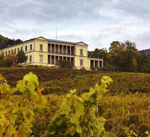 Villa Ludwigshöhe © GDKE, U. Pfeuffer 