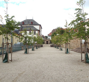 Lange Bahn mit Lindenallee, Balusterbrüstung und Terrassenmauer, am Abschluss die prot. Paulskirche © Maria Wenzel, GDKE, Landesdenkmalpflege Lange Bahn mit Lindenallee, Balusterbrüstung und Terrassenmauer, am Abschluss die prot. Paulskirche © Maria Wenzel, GDKE, Landesdenkmalpflege