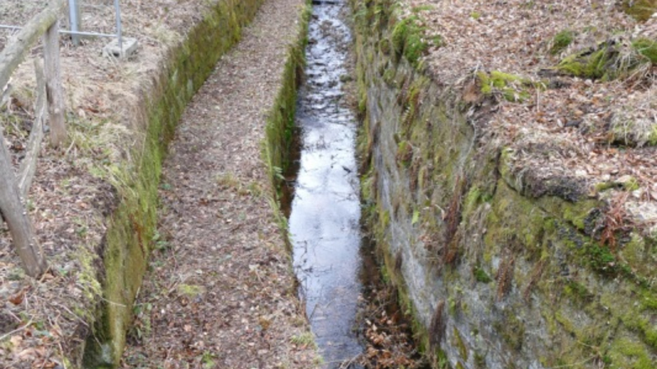 Elmstein (Kr. Bad Dürkheim), Alte Schmelzklause, Bachverlauf, an dieser Stelle mündet der Auslasskanal aus der Alten Schmelzklause in den Legelbach © GDKE, Landesdenkmalpflege (Bildautor: Kultur-Büro AHB, Ginsheim-Gustavsburg)