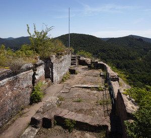 Aussicht von einer Burgruine über einen Wald