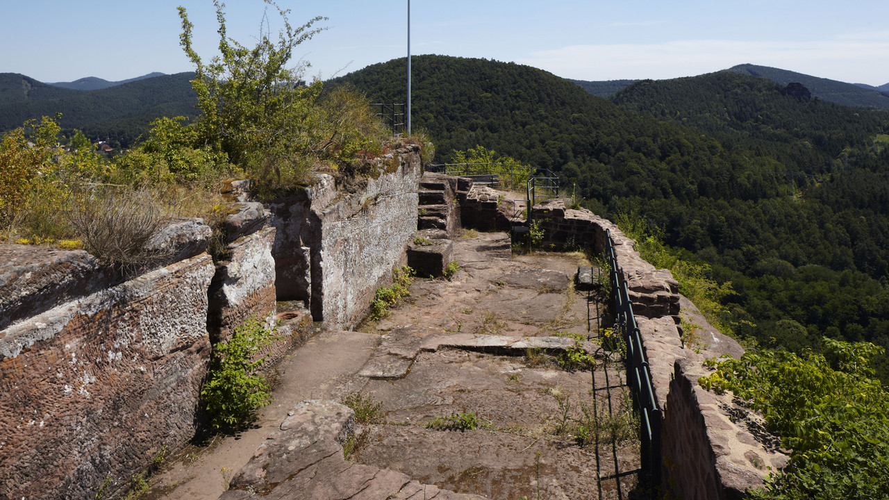 Aussicht von einer Burgruine über einen Wald