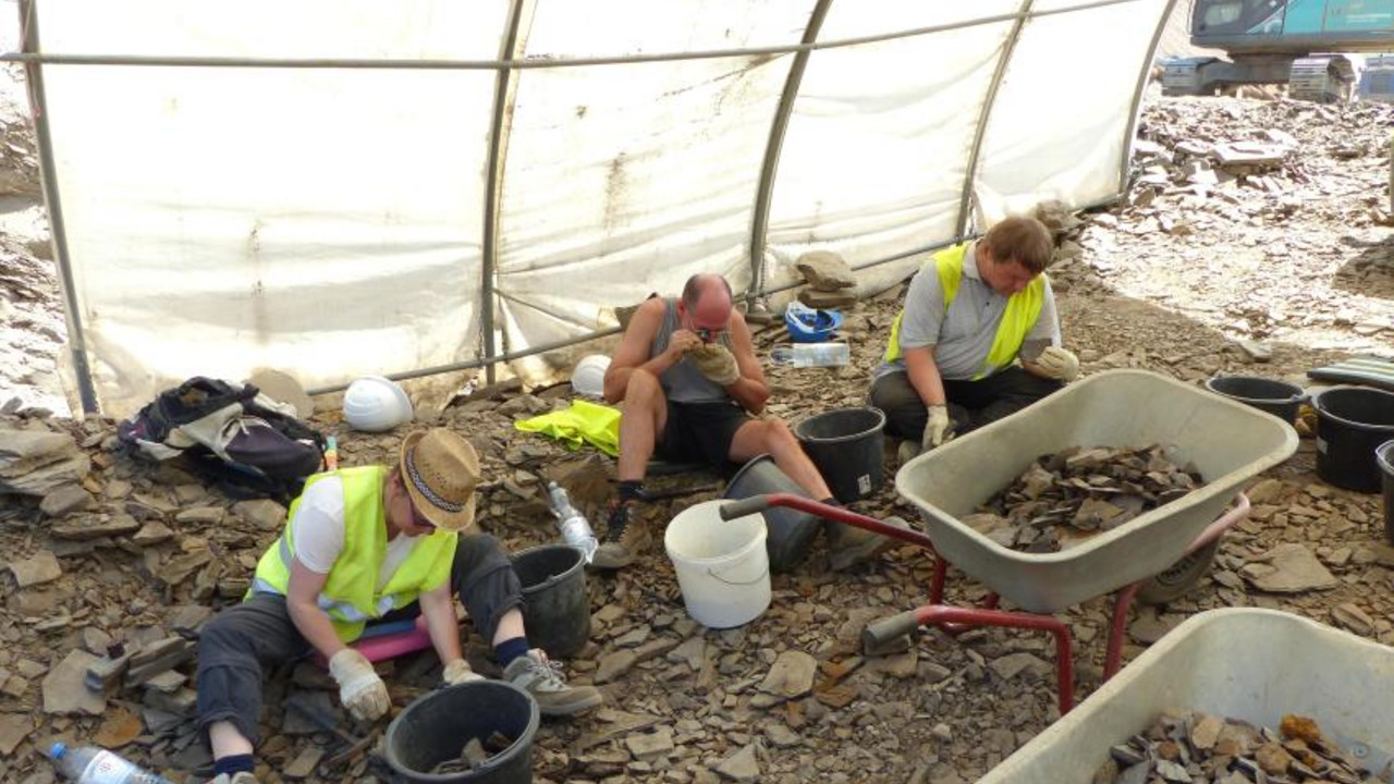 Aufspalten der Fundschicht auf der Suche nach Fossilien © GDKE, LA/Erdgeschichte