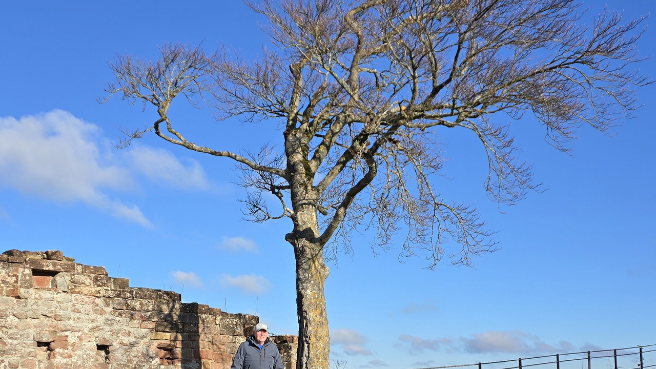 Burgführer auf der Burgruine Lindelbrunn