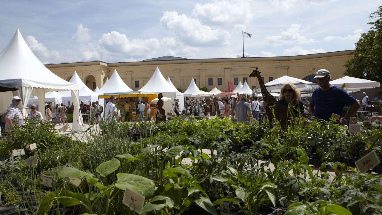 Die Landpartie in der Festung Ehrenbreitstein. Foto: GDKE Rheinland-Pfalz / Pfeuffer