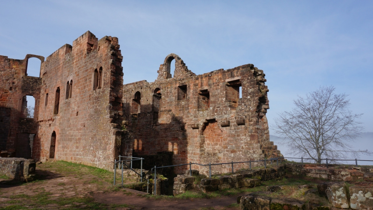 Umfassungsmauern des ehem. Palas der Burgruine Hohenecken, statische Sicherung © Nadine Neft, GDKE, Landesdenkmalpflege