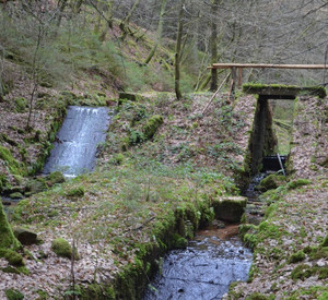 Esthal (Kr. Bad Dürkheim), Goldwoog am Breitenbach mit Auslass und „Riesel“ © GDKE, Landesdenkmalpflege, G. P. Karn