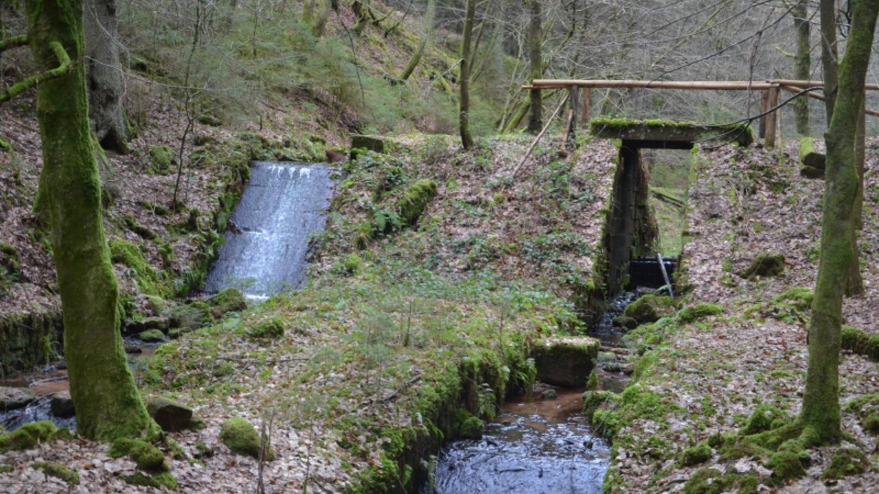 Esthal (Kr. Bad Dürkheim), Goldwoog am Breitenbach mit Auslass und „Riesel“ © GDKE, Landesdenkmalpflege, G. P. Karn